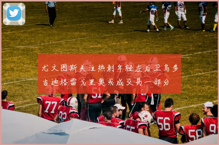 尤文图斯关注热刺年轻左后卫乌多吉迪格雷戈里奥或成交易一部分