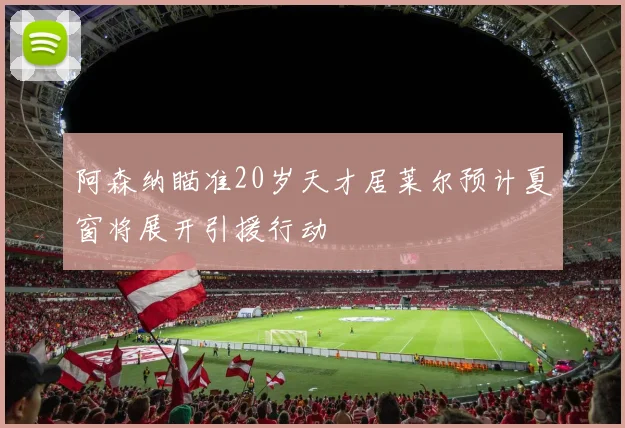 阿森纳瞄准20岁天才居莱尔预计夏窗将展开引援行动