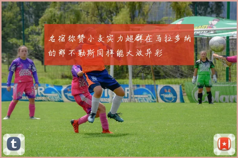 名宿称赞小麦实力超群在马拉多纳的那不勒斯同样能大放异彩