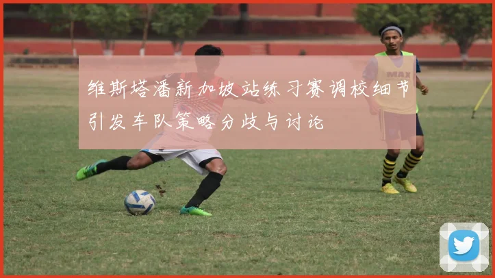 维斯塔潘新加坡站练习赛调校细节引发车队策略分歧与讨论